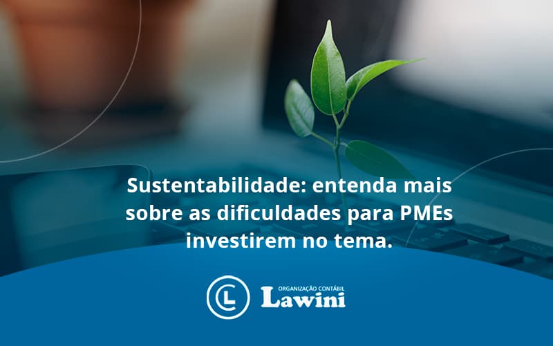 Sustentabilidade Lawini Contabilidade - Organização Contábil Lawini